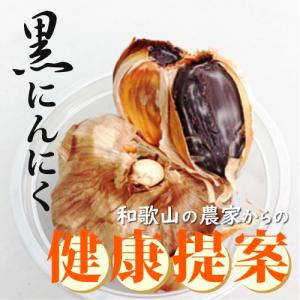 黒にんにく （中野農園） 生活をサポートする健康食品 - 農産物加工品研究所 中野農園の商品画像