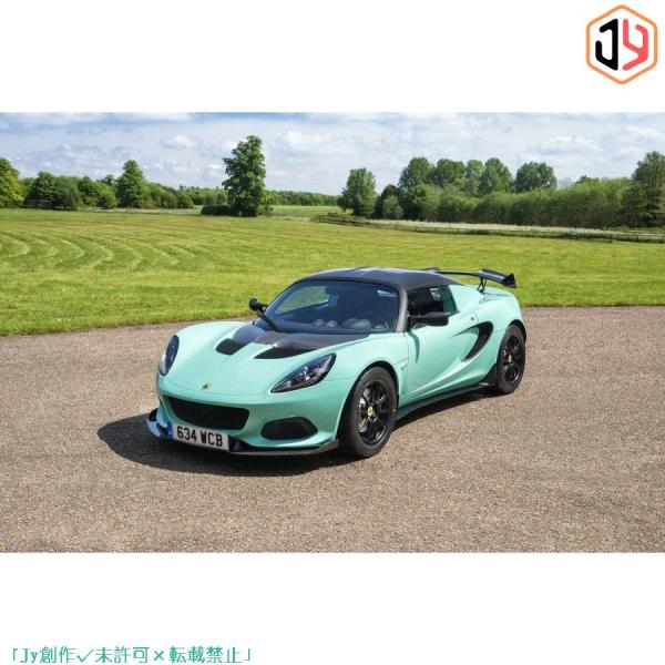 ＬＯＴＵＳ　ＥＬＩＳＥ　Ｓ２　Ｓ３　ＣＵＰ ＳＴＹＬＥ　 ＧＴウイングカーボン/FRP製ステー/FR...