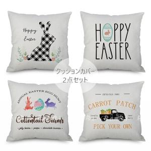 45×45クッションカバー抱き枕カバー北欧高級感おしゃれ抱き枕クッション選べる2点セット｜nakanoshokai