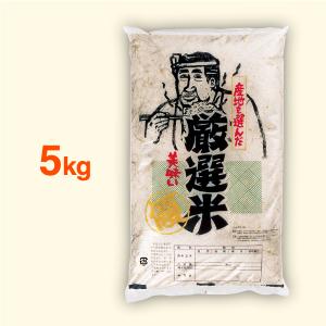 米袋5kg用　無銘柄　厳選米　ポリパック　レーザー孔加工　PP-10　500枚セット｜nakanoshop-pac