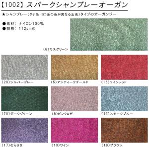 スパークシャンブレーオーガン オーガンジー オ...の詳細画像1