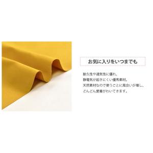 ラインナップB 国産11号カラー帆布 11号帆...の詳細画像3