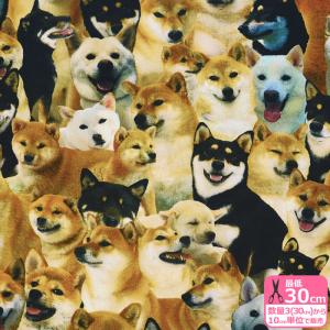ワンちゃん大集合 オックス 柴犬 インクジェット...の商品画像