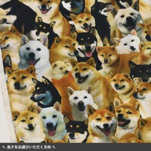ワンちゃん大集合 オックス 柴犬 インクジェッ...の詳細画像1