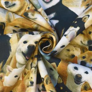 ワンちゃん大集合 オックス 柴犬 インクジェッ...の詳細画像3