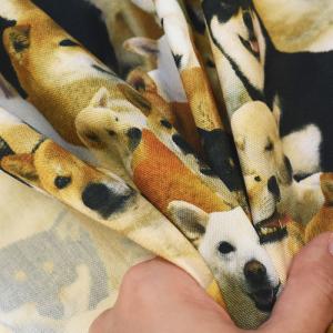 ワンちゃん大集合 オックス 柴犬 インクジェッ...の詳細画像4