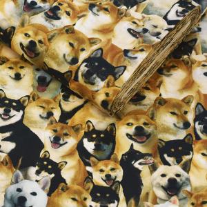 ワンちゃん大集合 オックス 柴犬 インクジェッ...の詳細画像5