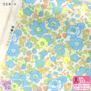 リバティプリント ラミネート Betsy ベッツィ 3332019N J22A J22E LIBERTY 2022SS Neon Liberty 生地 布 数量3(30cm)から10cm単位 6175 ビニールコーティング｜nakanotetsu