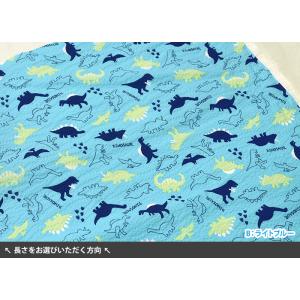 恐竜と足跡 リップル リップル生地 シルエット...の詳細画像1