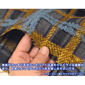 ウールドビーチェック エターミン ウール生地 ...の詳細画像4