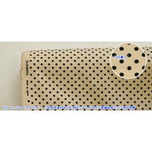 カラースキームシーチング 3×4ドット ドット...の詳細画像2