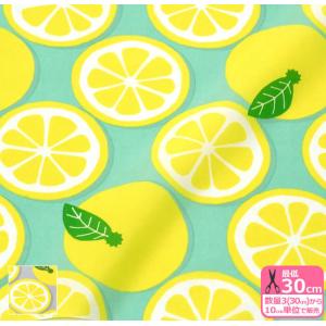 ホビー家コテツ ナイロン ナイロンタフタ ラミネート 種類で選ぶ Yahoo ショッピング