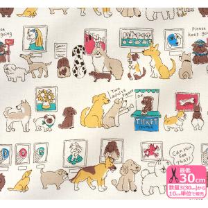 ホビー家コテツ 男の子向け生地 生地 Yahoo ショッピング