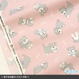 ボールとワンコ オックス ミニチュアシュナウザ...の詳細画像1