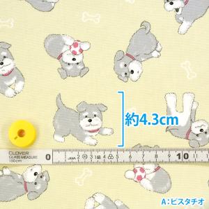 ボールとワンコ オックス ミニチュアシュナウザ...の詳細画像5