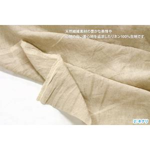 荒炊き染め60リネン 全12色 シーチング程度...の詳細画像4