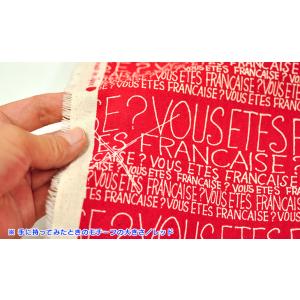綿麻キャンバス フランス語 VOUS ETES...の詳細画像3