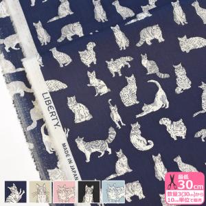 yukiemon アイシングキューブ 60ローン アイシングクッキー メルヘン