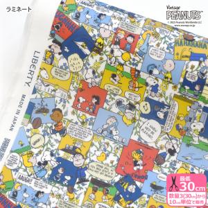 リバティ・ファブリックス ラミネート Hello Kitty Necessities ハロー