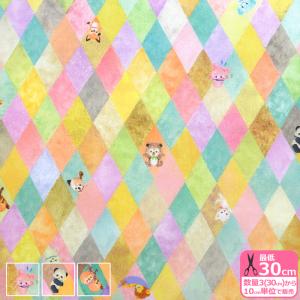 yukiemon アイシングキューブ 60ローン アイシングクッキー メルヘン