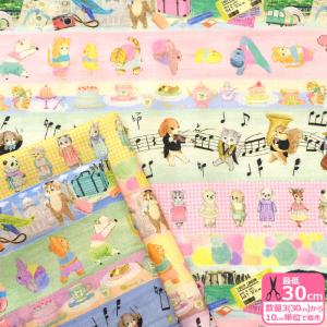 yukiemon アイシングキューブ 60ローン アイシングクッキー メルヘン