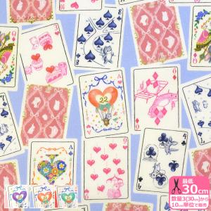 22fabric トランプメイト 60ローンビン...の商品画像