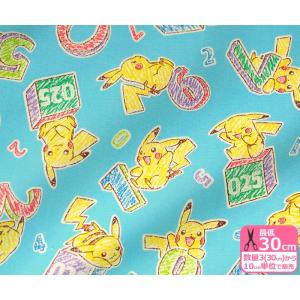 ピカチュウ 生地の商品一覧 通販 Yahoo ショッピング
