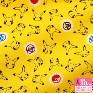 ピカチュウ 生地の商品一覧 通販 Yahoo ショッピング