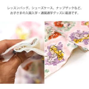 キルト ディズニープリンセス フワラーリース柄...の詳細画像3