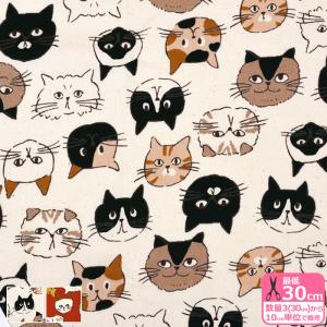 キャット×フェイス柄 オックス 未晒コットン 綿100％ ネコ ねこ 猫 セブンベリー生地 布 B850631Z 数量3(30cm)から10cm単位