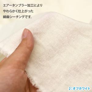 NEW 綿麻シーチング エアータンブラーワッシ...の詳細画像1