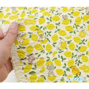 レモン猫 リップル 猫 猫柄 ネコ ネコ柄 に...の詳細画像2