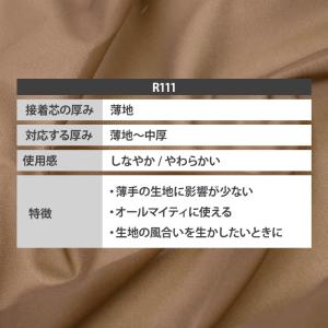 接着芯 R111 ダンレーヌ芯地 薄地 布タイ...の詳細画像1