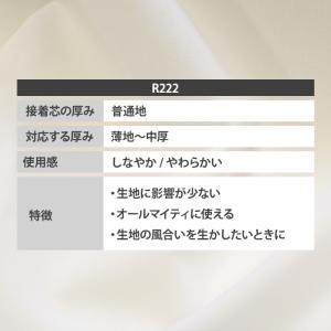接着芯 R222 ダンレーヌ芯地 普通地 布タ...の詳細画像1