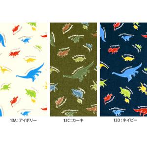 キッズランド ゆるかわ恐竜 CBプリント 恐竜...の詳細画像4