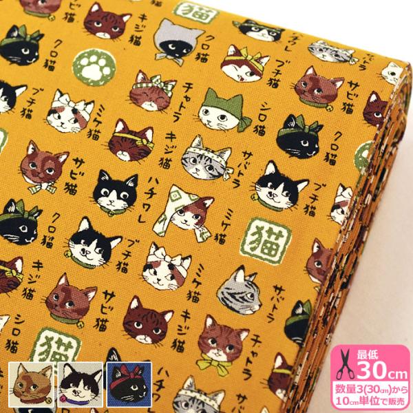 図鑑シリーズ 猫模様図鑑 オックス ネコ柄 猫柄 和風 ねこ ユニーク サバトラ ハチワレ KOKK...