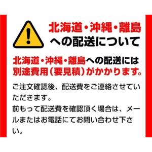 STRAPACK(ストラパック)梱包機 iQ-...の詳細画像2