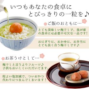 梅干し しらら 500g 中田食品 紀州南高梅...の詳細画像2