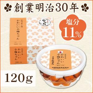 ★梅干し 小梅 かわいい小梅ちゃん 120g 中田食品 うめぼし 梅干 田舎漬 塩分11％ 紀州 和歌山