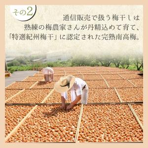 梅干し しらら 400g 中田食品 紀州南高梅...の詳細画像4
