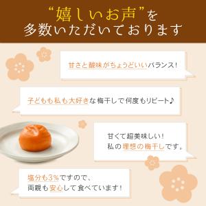 梅干し はちみつ梅 減塩 400g 塩分3% ...の詳細画像4