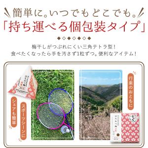 梅干し はちみつ梅 減塩 個包装 塩分3% 2...の詳細画像2