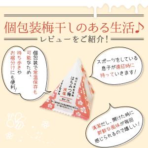 梅干し はちみつ梅 減塩 個包装 塩分3% 2...の詳細画像3