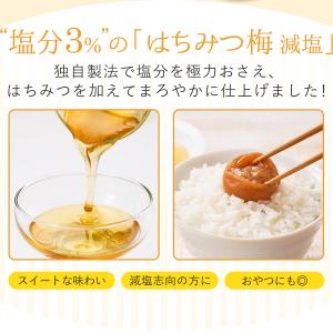 梅干し はちみつ梅 減塩 個包装 塩分3% 2...の詳細画像4