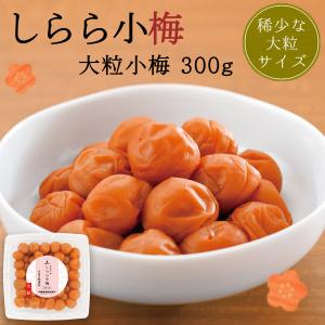 梅干し 小梅 しらら小梅 大粒小梅 300g 中田食品 減塩