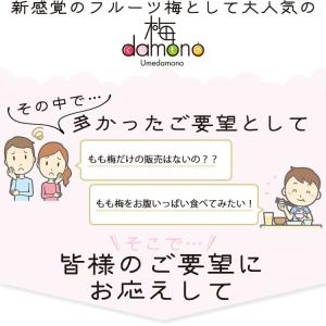 【完売しました】梅干し フルーツ風味 個包装 ...の詳細画像2