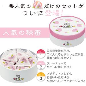 【完売しました】梅干し フルーツ風味 個包装 ...の詳細画像3