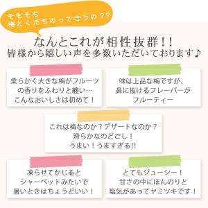 【完売しました】梅干し フルーツ風味 個包装 ...の詳細画像4