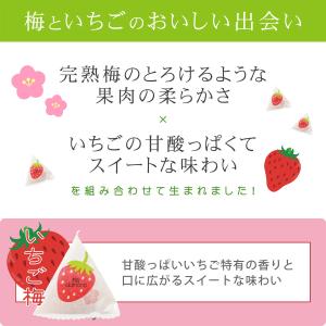 【完売しました】梅干し 個包装 国産 紀州南高...の詳細画像2