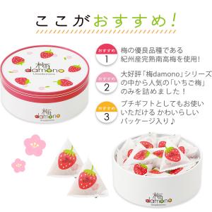 【完売しました】梅干し 個包装 国産 紀州南高...の詳細画像3